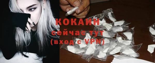 прущие грибы Костерёво