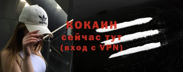 дурь Коряжма