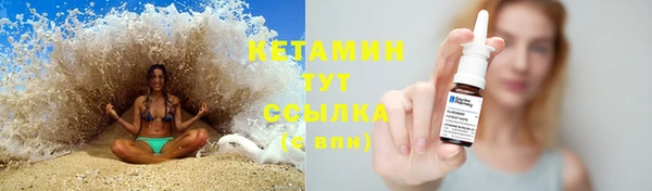 прущие грибы Костерёво