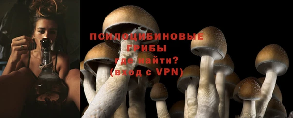 дурь Коряжма