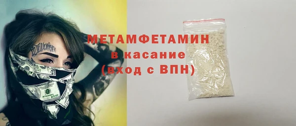 прущие грибы Костерёво