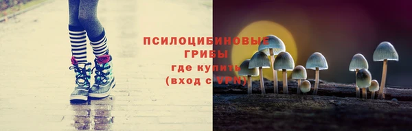 дурь Коряжма