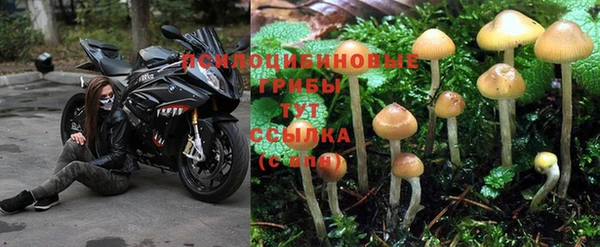 МДПВ Корсаков