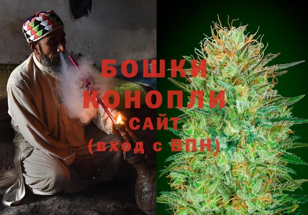 прущие грибы Костерёво
