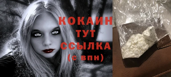 прущие грибы Костерёво